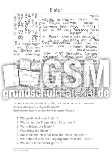 Elster.pdf